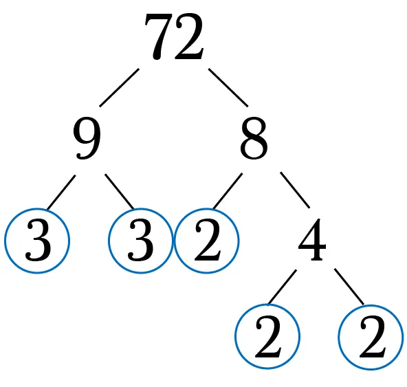 number flow
